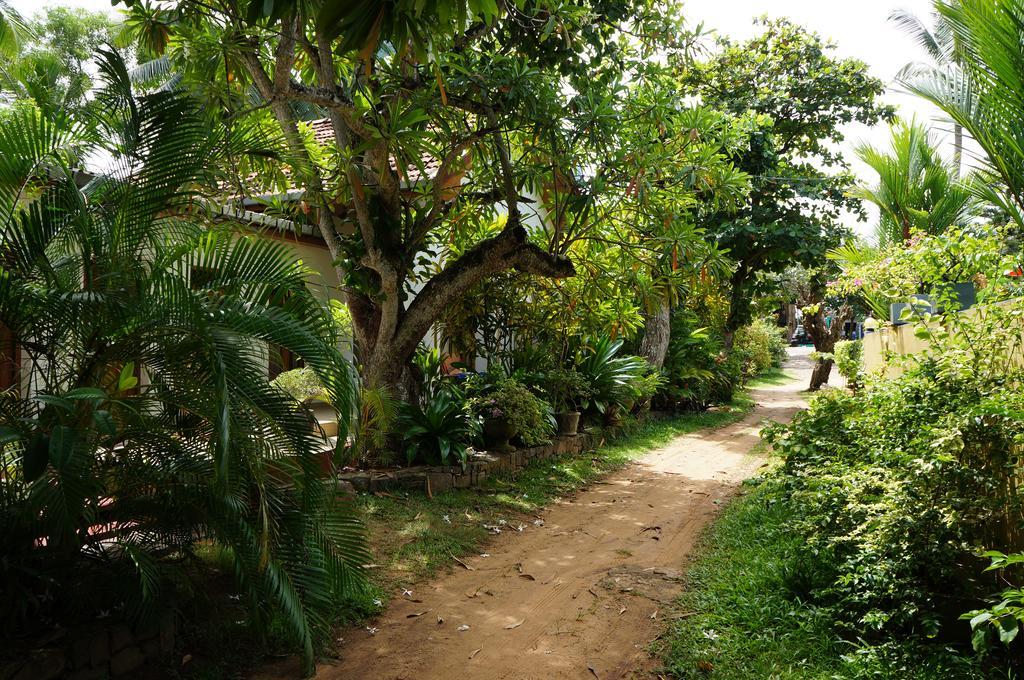 Tandem Guesthouse Hikkaduwa Exterior photo